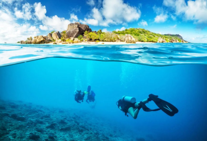 Caribbean Adventure Scuba Diving